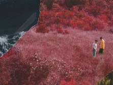 Milky Chance - bilety