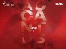  Accantus Live 7 - bilety