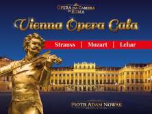 KONCERT WIEDEŃSKI – VIENNA OPERA GALA PRZY ŚWIECACH - bilety