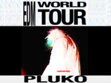 pluko: EDM WORLD TOUR - bilety